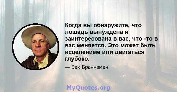 Когда вы обнаружите, что лошадь вынуждена и заинтересована в вас, что -то в вас меняется. Это может быть исцелением или двигаться глубоко.