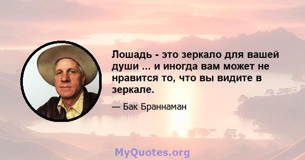 Лошадь - это зеркало для вашей души ... и иногда вам может не нравится то, что вы видите в зеркале.