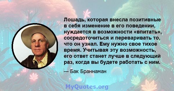 Лошадь, которая внесла позитивные в себя изменение в его поведении, нуждается в возможности «впитать», сосредоточиться и переваривать то, что он узнал. Ему нужно свое тихое время. Учитывая эту возможность, его ответ