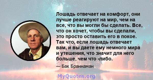 Лошадь отвечает на комфорт, они лучше реагируют на мир, чем на все, что вы могли бы сделать. Все, что он хочет, чтобы вы сделали, это просто оставить его в покое. Так что, если лошадь отвечает вам, и вы даете ему