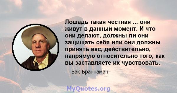 Лошадь такая честная ... они живут в данный момент. И что они делают, должны ли они защищать себя или они должны принять вас, действительно, напрямую относительно того, как вы заставляете их чувствовать.