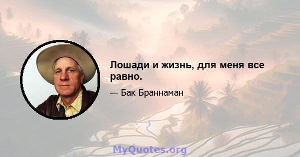 Лошади и жизнь, для меня все равно.