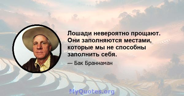 Лошади невероятно прощают. Они заполняются местами, которые мы не способны заполнить себя.