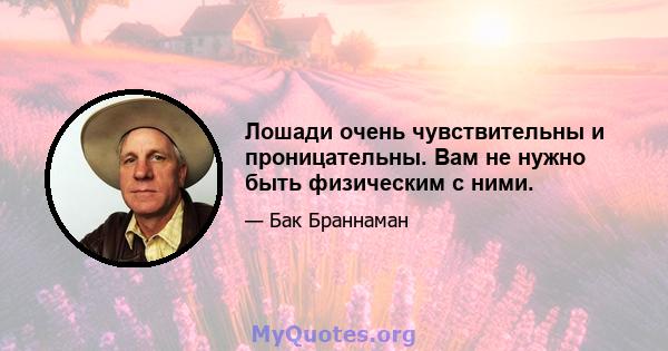 Лошади очень чувствительны и проницательны. Вам не нужно быть физическим с ними.