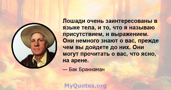 Лошади очень заинтересованы в языке тела, и то, что я называю присутствием, и выражением. Они немного знают о вас, прежде чем вы дойдете до них. Они могут прочитать о вас, что ясно, на арене.