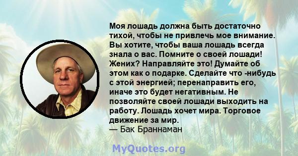 Моя лошадь должна быть достаточно тихой, чтобы не привлечь мое внимание. Вы хотите, чтобы ваша лошадь всегда знала о вас. Помните о своей лошади! Жених? Направляйте это! Думайте об этом как о подарке. Сделайте что