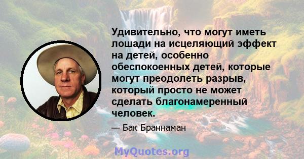 Удивительно, что могут иметь лошади на исцеляющий эффект на детей, особенно обеспокоенных детей, которые могут преодолеть разрыв, который просто не может сделать благонамеренный человек.