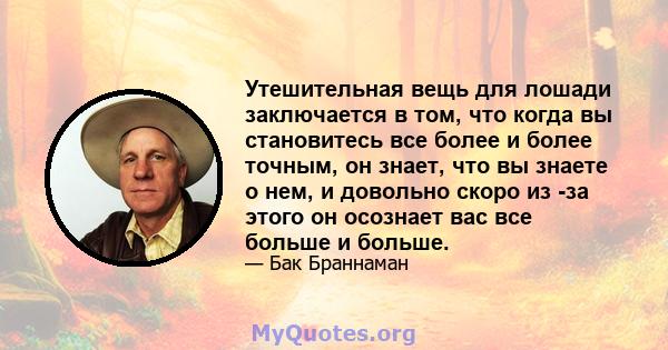 Утешительная вещь для лошади заключается в том, что когда вы становитесь все более и более точным, он знает, что вы знаете о нем, и довольно скоро из -за этого он осознает вас все больше и больше.