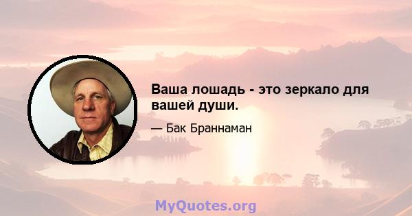 Ваша лошадь - это зеркало для вашей души.