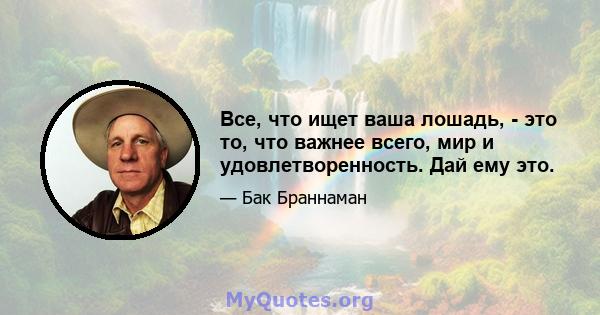 Все, что ищет ваша лошадь, - это то, что важнее всего, мир и удовлетворенность. Дай ему это.