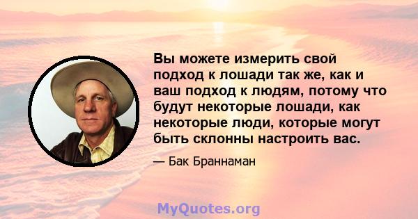 Вы можете измерить свой подход к лошади так же, как и ваш подход к людям, потому что будут некоторые лошади, как некоторые люди, которые могут быть склонны настроить вас.