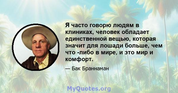 Я часто говорю людям в клиниках, человек обладает единственной вещью, которая значит для лошади больше, чем что -либо в мире, и это мир и комфорт.