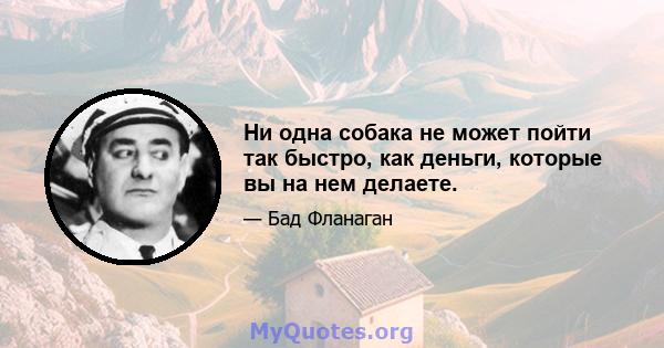 Ни одна собака не может пойти так быстро, как деньги, которые вы на нем делаете.