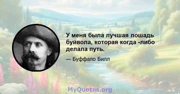 У меня была лучшая лошадь буйвола, которая когда -либо делала путь.