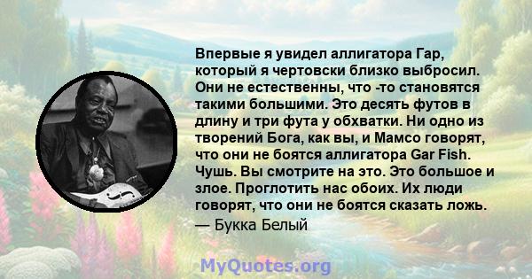 Впервые я увидел аллигатора Гар, который я чертовски близко выбросил. Они не естественны, что -то становятся такими большими. Это десять футов в длину и три фута у обхватки. Ни одно из творений Бога, как вы, и Мамсо