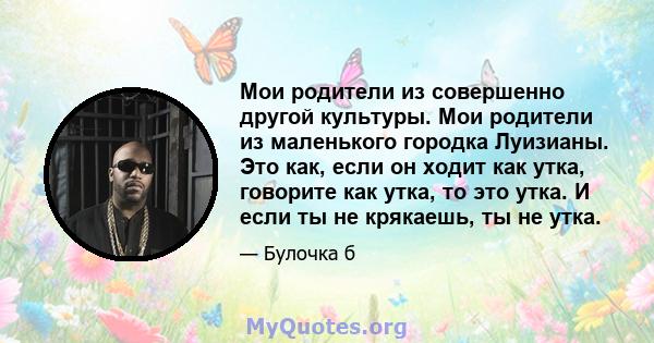 Мои родители из совершенно другой культуры. Мои родители из маленького городка Луизианы. Это как, если он ходит как утка, говорите как утка, то это утка. И если ты не крякаешь, ты не утка.