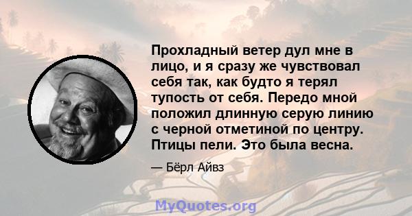 Прохладный ветер дул мне в лицо, и я сразу же чувствовал себя так, как будто я терял тупость от себя. Передо мной положил длинную серую линию с черной отметиной по центру. Птицы пели. Это была весна.