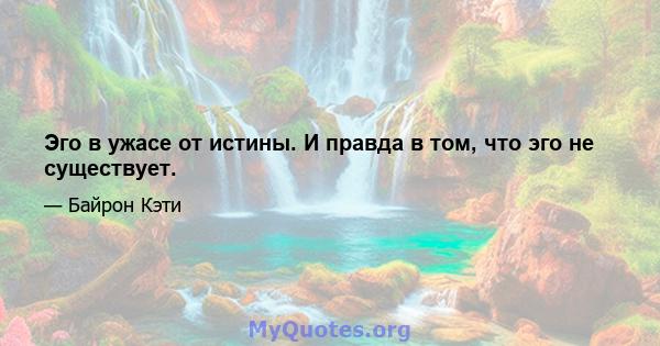 Эго в ужасе от истины. И правда в том, что эго не существует.