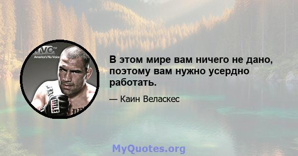 В этом мире вам ничего не дано, поэтому вам нужно усердно работать.