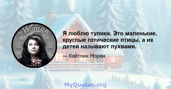 Я люблю тупики. Это маленькие, круглые готические птицы, а их детей называют пухвами.