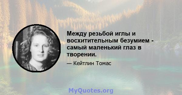 Между резьбой иглы и восхитительным безумием - самый маленький глаз в творении.