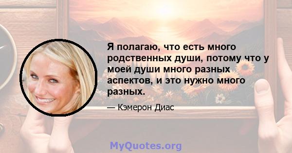 Я полагаю, что есть много родственных души, потому что у моей души много разных аспектов, и это нужно много разных.