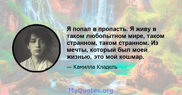 Я попал в пропасть. Я живу в таком любопытном мире, таком странном, таком странном. Из мечты, который был моей жизнью, это мой кошмар.