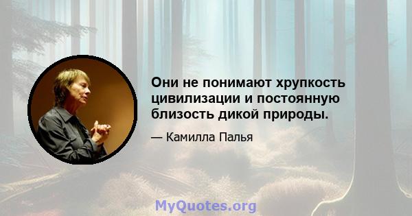 Они не понимают хрупкость цивилизации и постоянную близость дикой природы.