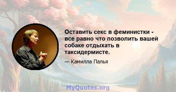 Оставить секс в феминистки - все равно что позволить вашей собаке отдыхать в таксидермисте.