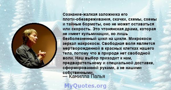 Сознание-жалкая заложника его плоти-обезвреживания, скачки, схемы, схемы и тайные бормоты, оно не может оставаться или скорость. Это чтонянская драма, которая не имеет кульминации, но лишь безболезненный цикл на цикле.