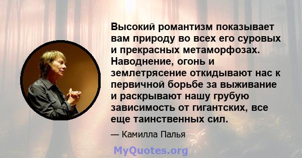 Высокий романтизм показывает вам природу во всех его суровых и прекрасных метаморфозах. Наводнение, огонь и землетрясение откидывают нас к первичной борьбе за выживание и раскрывают нашу грубую зависимость от