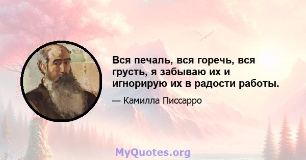 Вся печаль, вся горечь, вся грусть, я забываю их и игнорирую их в радости работы.