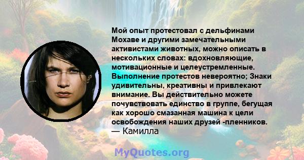 Мой опыт протестовал с дельфинами Мохаве и другими замечательными активистами животных, можно описать в нескольких словах: вдохновляющие, мотивационные и целеустремленные. Выполнение протестов невероятно; Знаки