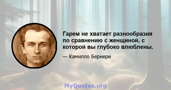 Гарем не хватает разнообразия по сравнению с женщиной, с которой вы глубоко влюблены.