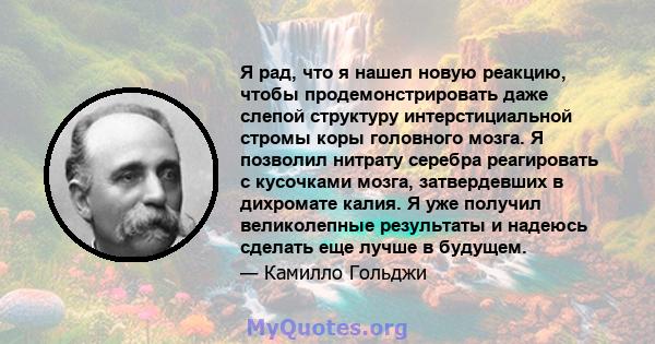 Я рад, что я нашел новую реакцию, чтобы продемонстрировать даже слепой структуру интерстициальной стромы коры головного мозга. Я позволил нитрату серебра реагировать с кусочками мозга, затвердевших в дихромате калия. Я