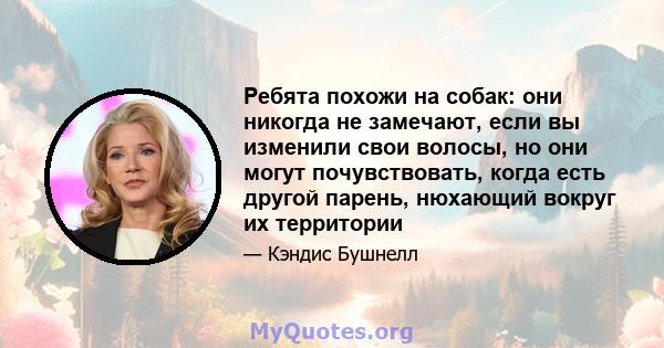 Ребята похожи на собак: они никогда не замечают, если вы изменили свои волосы, но они могут почувствовать, когда есть другой парень, нюхающий вокруг их территории