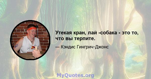 Утекая кран, лай -собака - это то, что вы терпите.