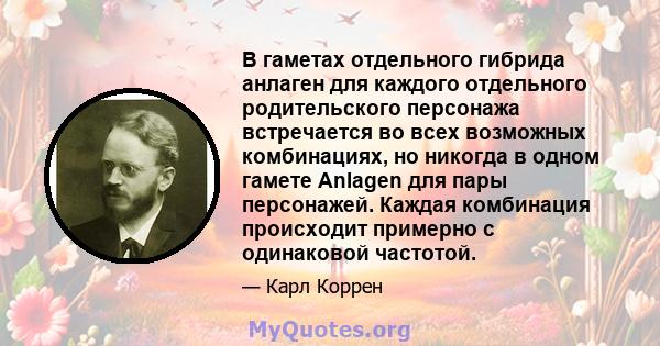 В гаметах отдельного гибрида анлаген для каждого отдельного родительского персонажа встречается во всех возможных комбинациях, но никогда в одном гамете Anlagen для пары персонажей. Каждая комбинация происходит примерно 