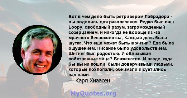 Вот в чем дело быть ретривером Лабрадора - вы родились для развлечения. Редко был ваш Loopy, свободный разум, загроможденный созерцанием, и никогда не вообще из -за мрачного беспокойства; Каждый день была шутка. Что еще 