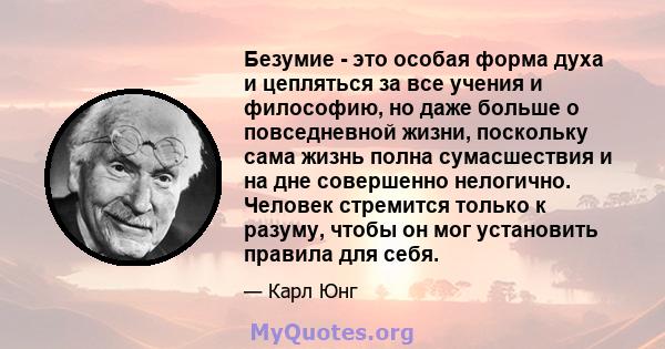 Безумие - это особая форма духа и цепляться за все учения и философию, но даже больше о повседневной жизни, поскольку сама жизнь полна сумасшествия и на дне совершенно нелогично. Человек стремится только к разуму, чтобы 