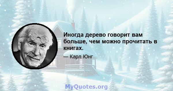 Иногда дерево говорит вам больше, чем можно прочитать в книгах.