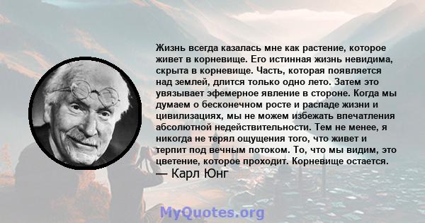 Жизнь всегда казалась мне как растение, которое живет в корневище. Его истинная жизнь невидима, скрыта в корневище. Часть, которая появляется над землей, длится только одно лето. Затем это увязывает эфемерное явление в