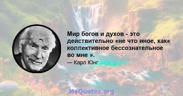 Мир богов и духов - это действительно «не что иное, как« коллективное бессознательное во мне ».