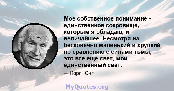 Мое собственное понимание - единственное сокровище, которым я обладаю, и величайшее. Несмотря на бесконечно маленький и хрупкий по сравнению с силами тьмы, это все еще свет, мой единственный свет.