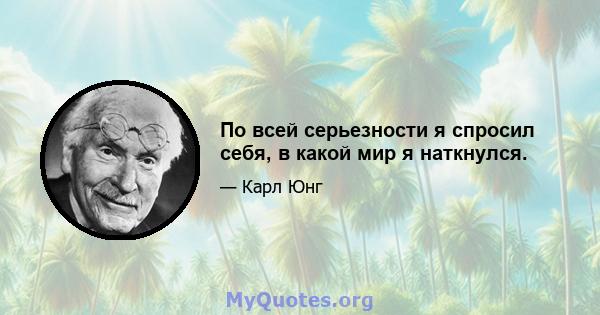 По всей серьезности я спросил себя, в какой мир я наткнулся.