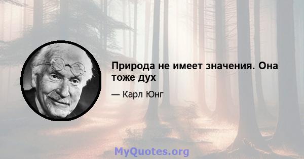 Природа не имеет значения. Она тоже дух