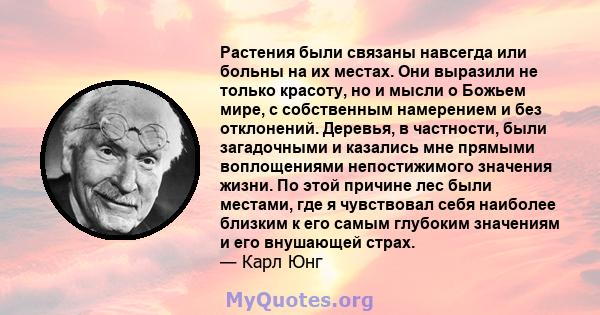 Растения были связаны навсегда или больны на их местах. Они выразили не только красоту, но и мысли о Божьем мире, с собственным намерением и без отклонений. Деревья, в частности, были загадочными и казались мне прямыми