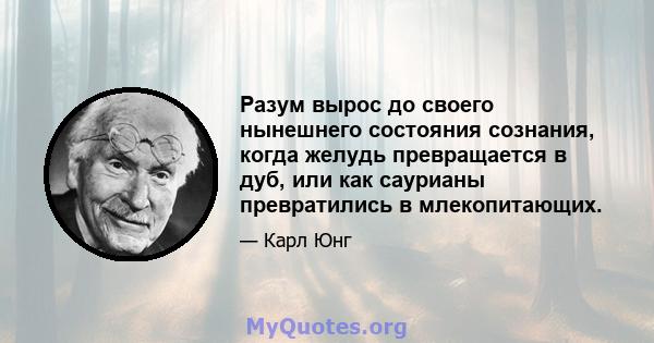 Разум вырос до своего нынешнего состояния сознания, когда желудь превращается в дуб, или как саурианы превратились в млекопитающих.