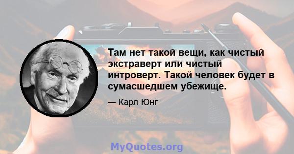 Там нет такой вещи, как чистый экстраверт или чистый интроверт. Такой человек будет в сумасшедшем убежище.