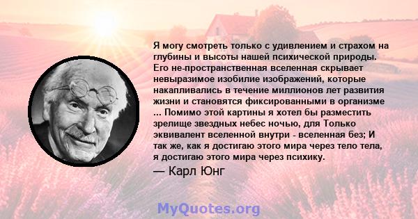 Я могу смотреть только с удивлением и страхом на глубины и высоты нашей психической природы. Его не-пространственная вселенная скрывает невыразимое изобилие изображений, которые накапливались в течение миллионов лет